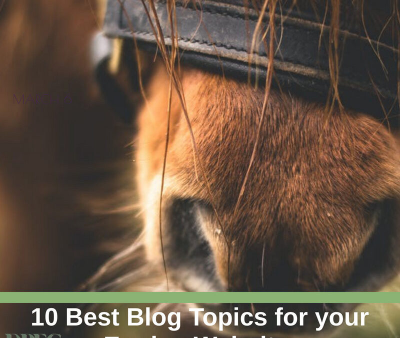 10 Best Blog Topics for your Equine Website