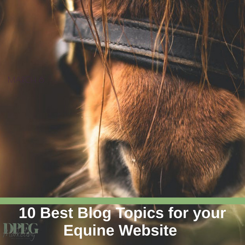 10 Best Blog Topics for your Equine Website