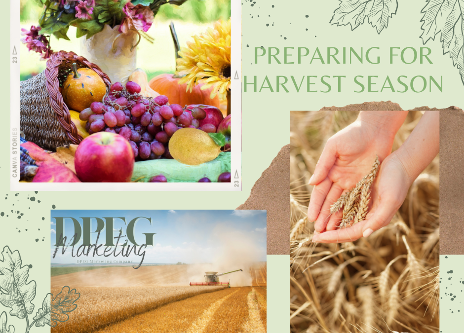 Preparing For Harvest Season