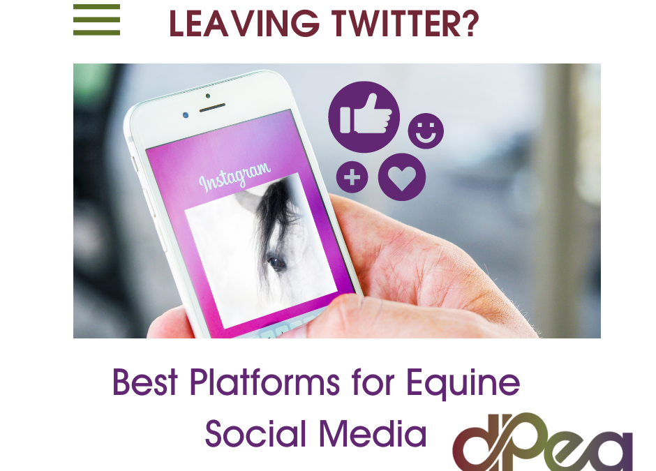 Leaving Twitter? Best Platforms for Equine Social Media