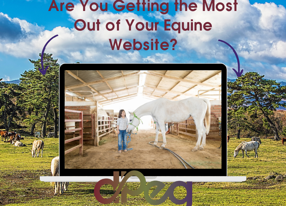 Are You Getting the Most Out of Your Equine Website?