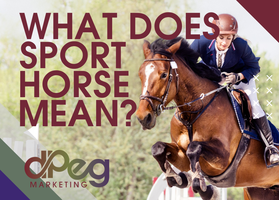 What Does Sport Horse Mean?