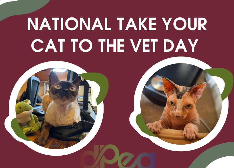 National Take Your Cat to the Vet Day