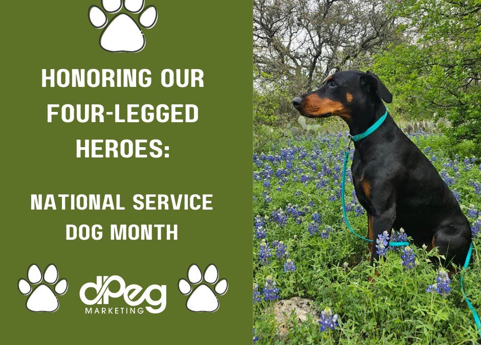 Honoring Our Four-Legged Heroes: National Service Dog Month