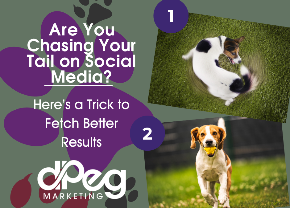 Are You Chasing Your Tail on Social Media? Here’s a Trick to Fetch Better Results!