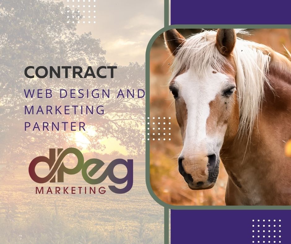 Web Design and Marketing Partner