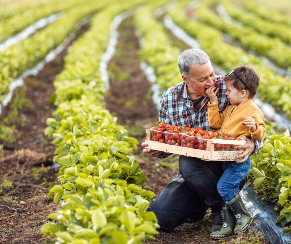 Agriculture Farm Websites